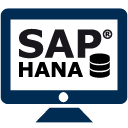 icon_sap_system_128-1